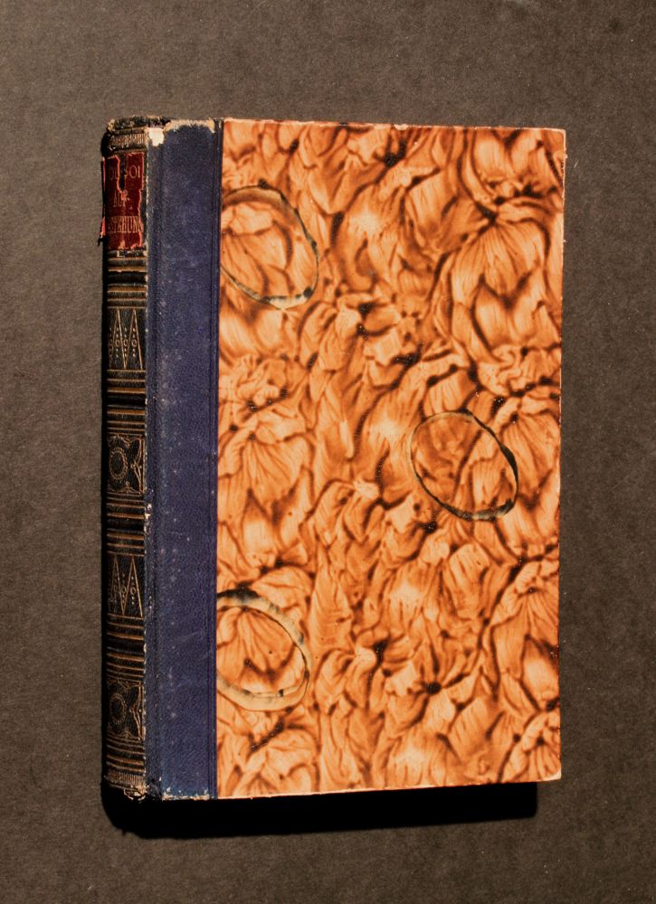Lew Nikolajewitsch Tolstoi - Auferstehung - Buch