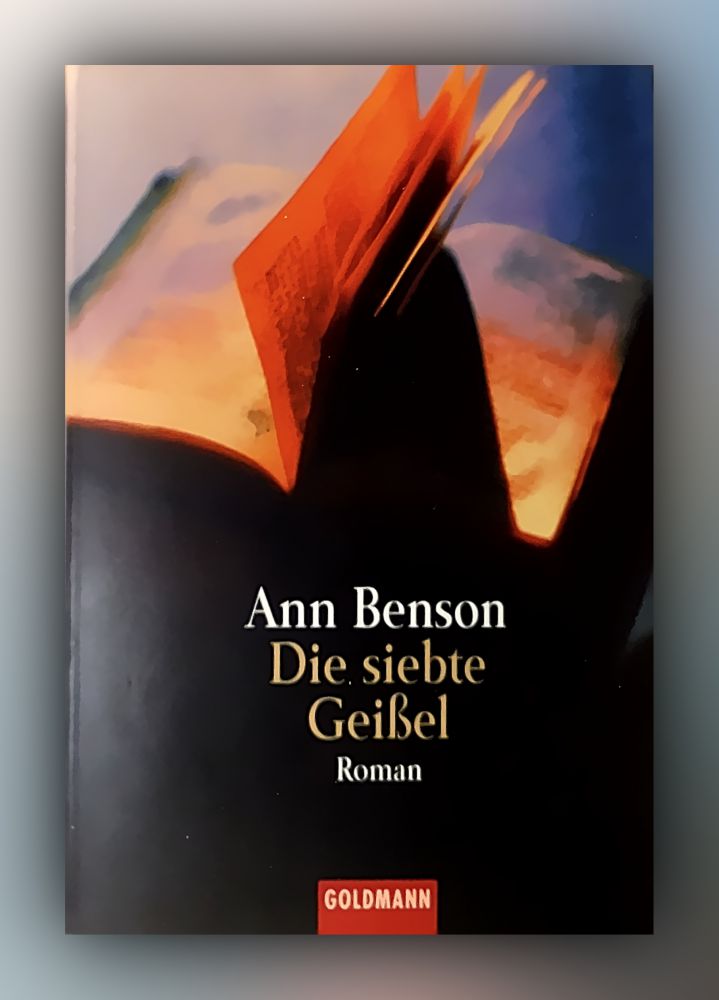 Ann Benson - Die siebte Geißel - Buch