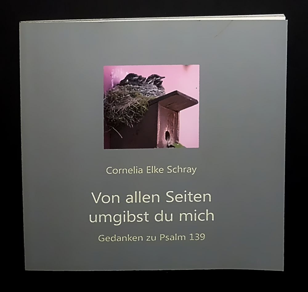 Von allen Seiten umgibst du mich - Gedanken zum Psalm 139 - Cornelia Elke Schray