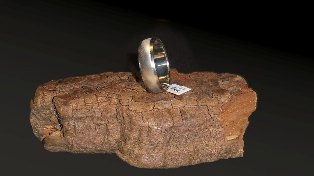 Edelstahl Ring Ø 22 x 7 mm