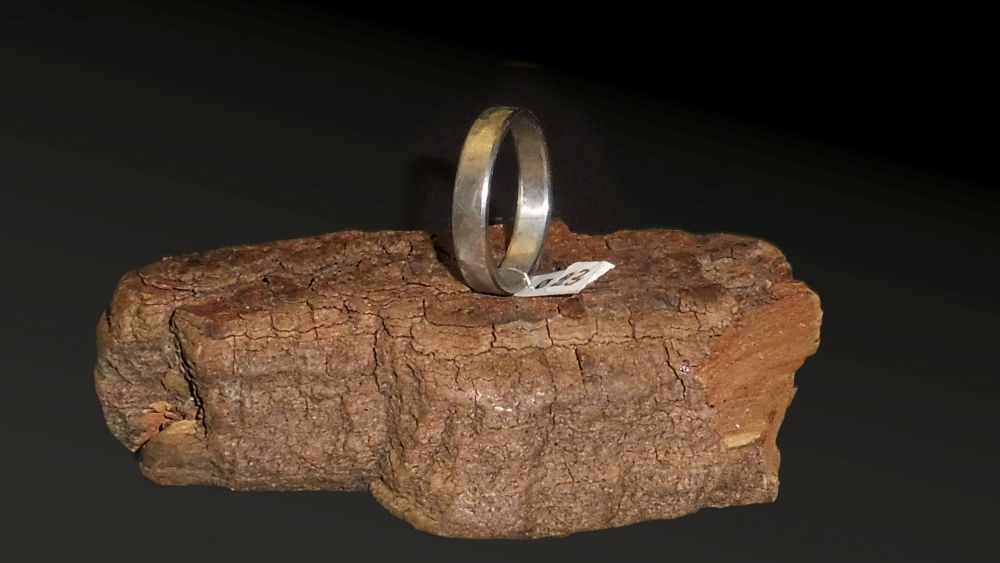 Edelstahl Ring Ø 23 x 5 mm
