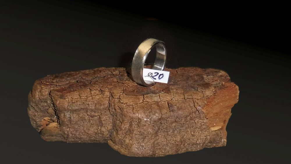 Edelstahl Ring Ø 20 x 6 mm