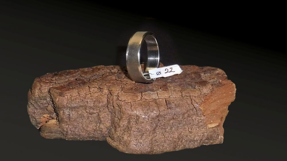 Edelstahl Ring Ø 22 x 7 mm