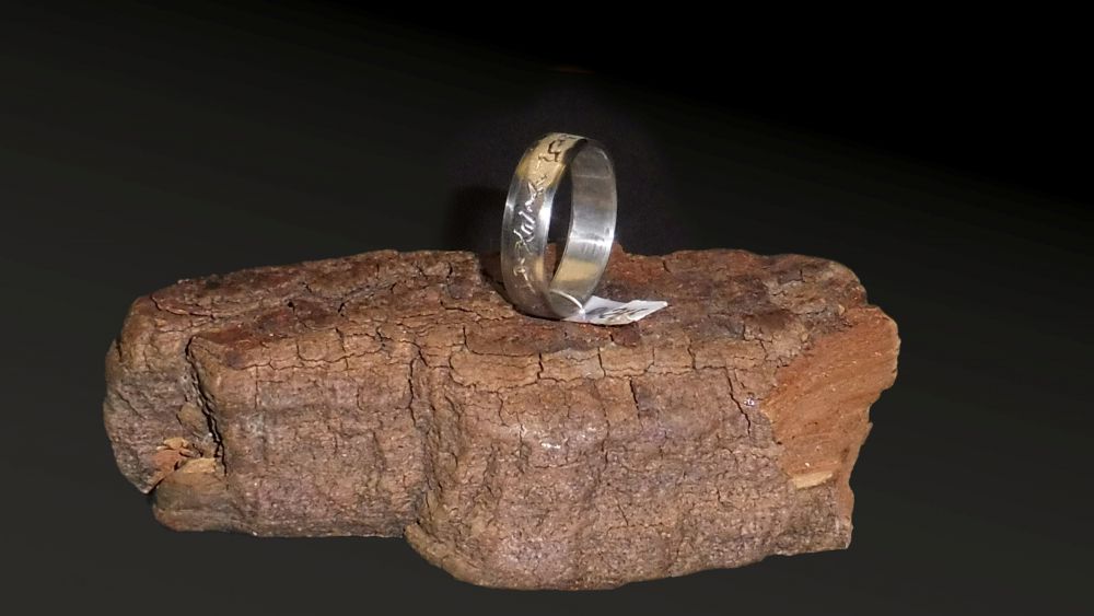 Edelstahl Ring Ø 21,5 x 6,5 mm