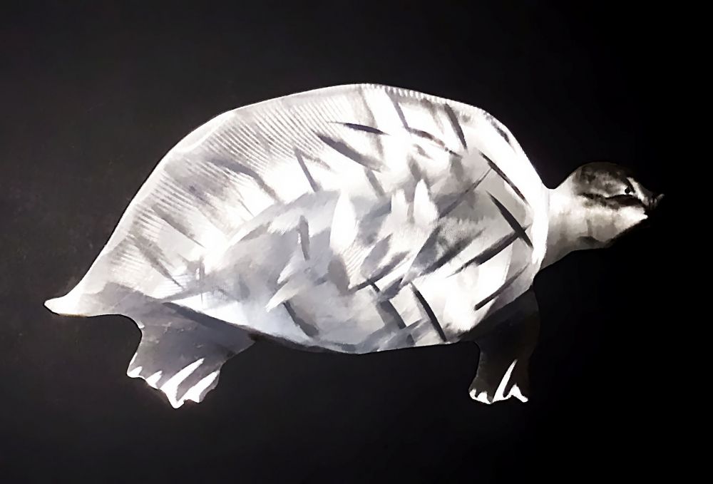 Edelstahl Schildkröte 19 x 11 cm