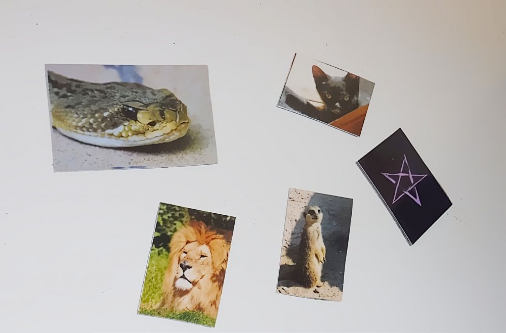 5 Kühlschrankmagnete