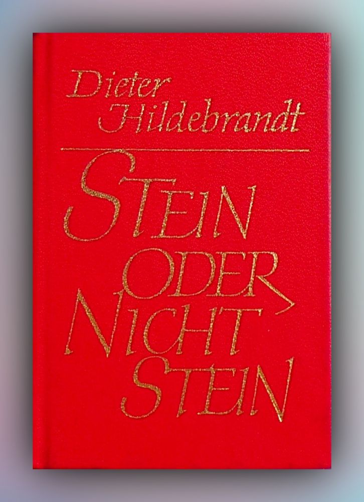 Dieter Hildebrandt - Stein oder nicht Stein - Buch