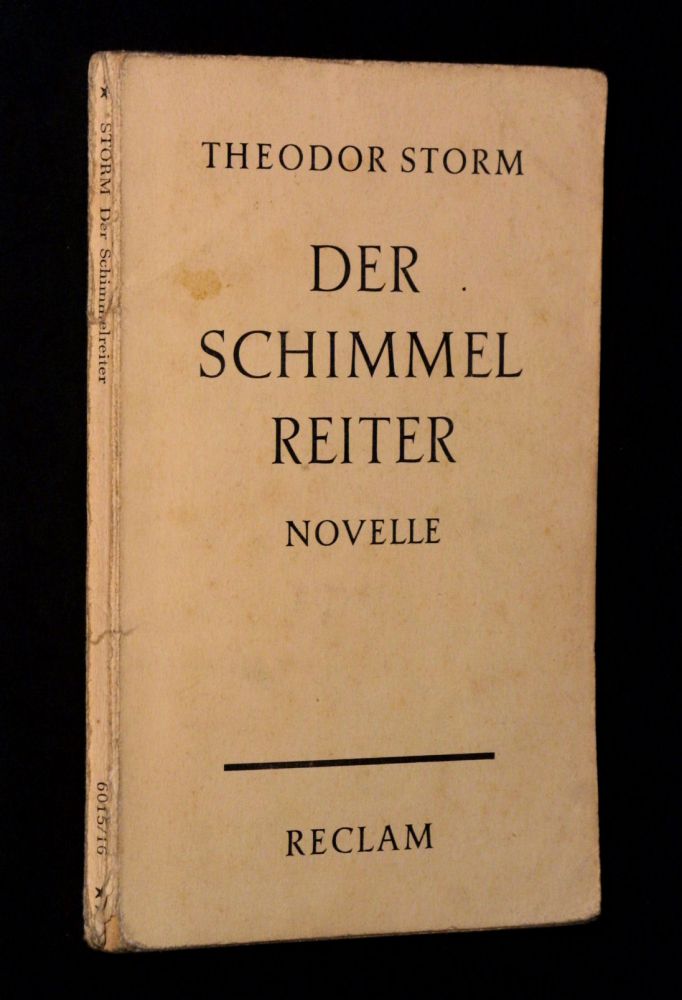 Theodor Storm - Der Schimmelreiter. - Buch