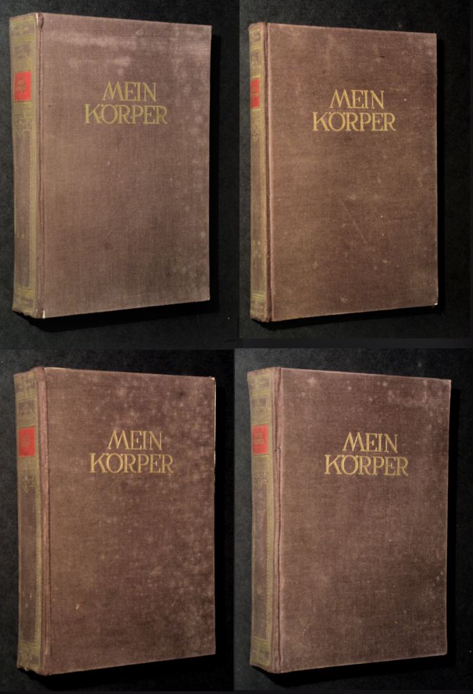 Martin Sendenholm - Mein Körper - Buch